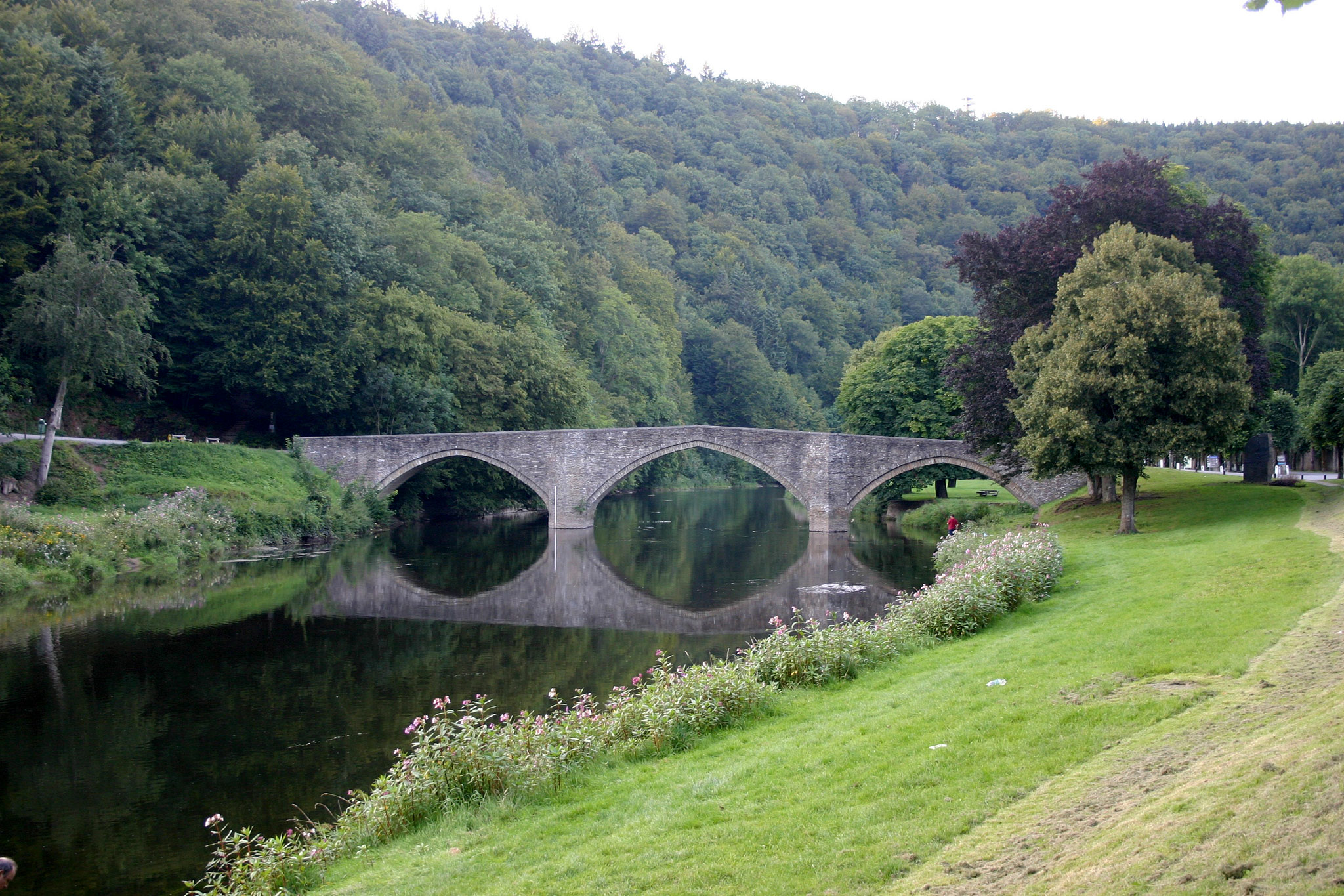 Bouillon